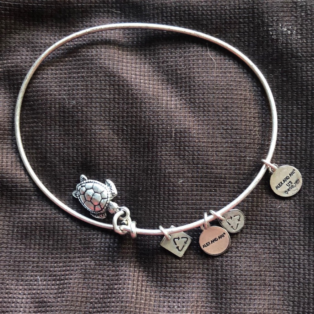 Alex and Ani bracelet